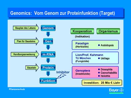 Grafik Bayer AG