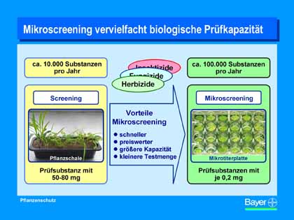 Grafik Bayer AG