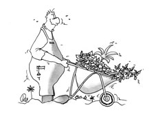 Illustration Bayer AG