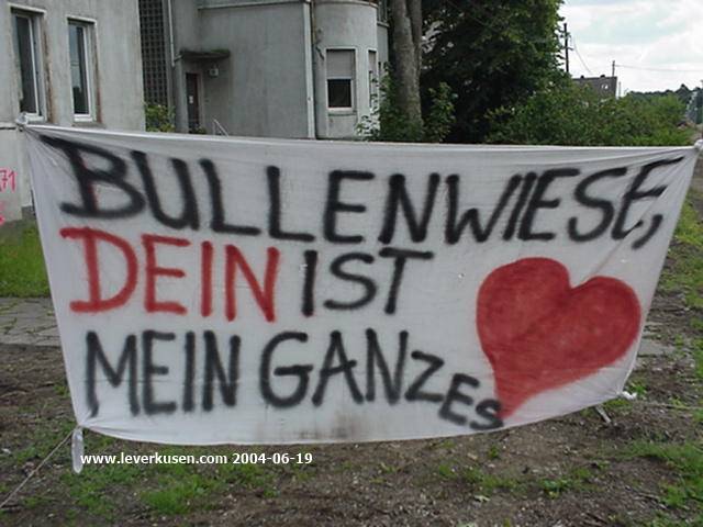 Bullenwiese, Banner