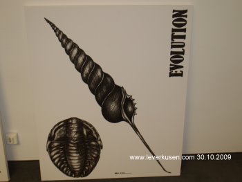Ursel Scholz: Evolution
