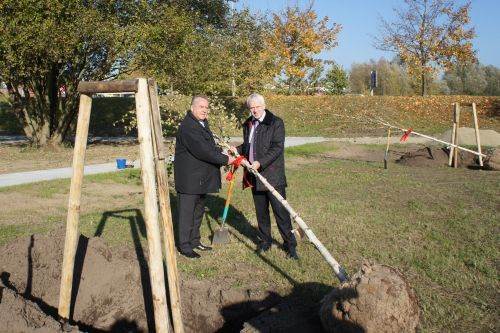 Reinhard Buchhorn und Jürgen Polzehl pflanzen Baum