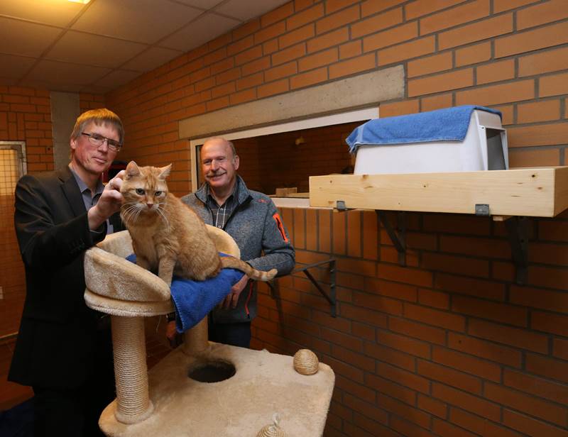Grigat und Kortschlag mit Katze