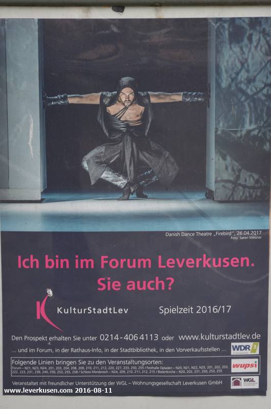 Ich bin im Forum