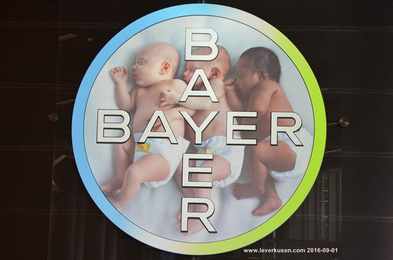 Bayer-Kreuz im Baykomm