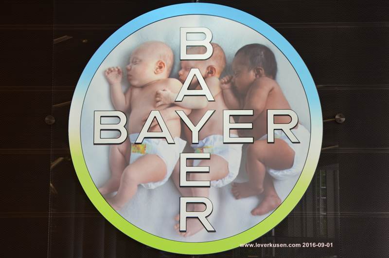 Bayer-Kreuz im Baykomm