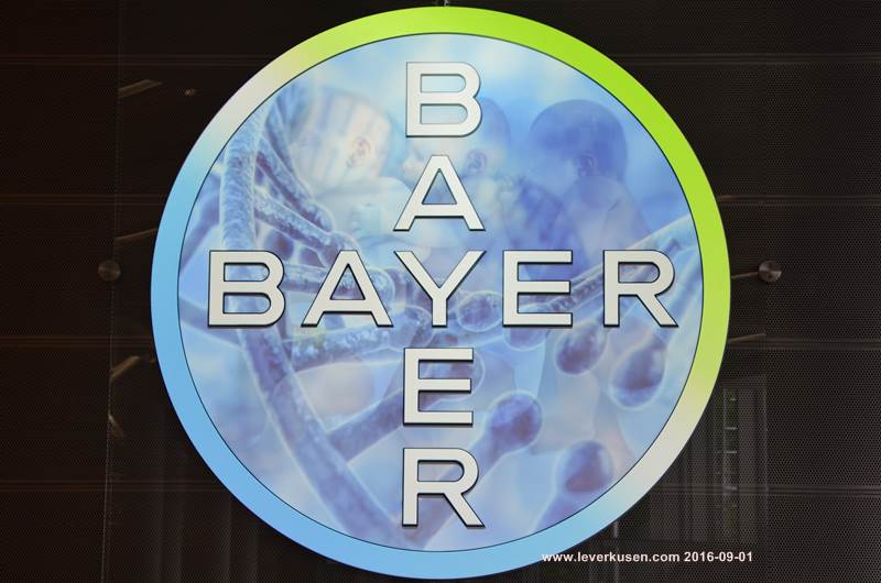 Bayer-Kreuz im Baykomm