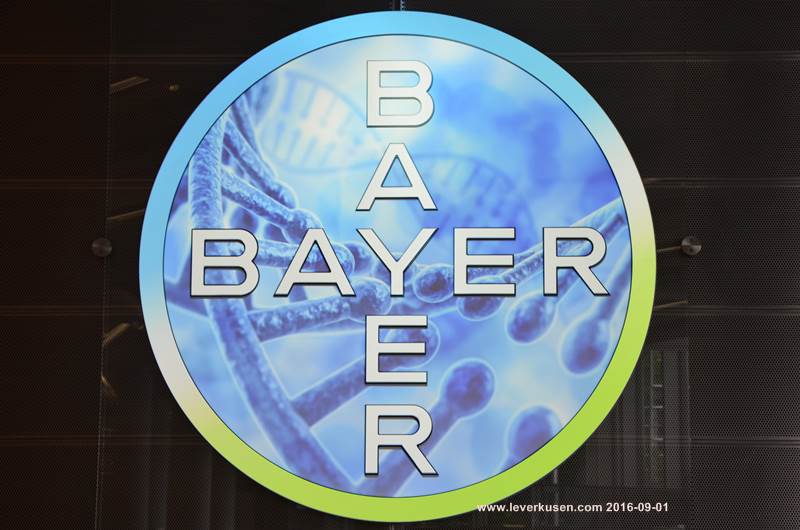 Bayer-Kreuz im Baykomm