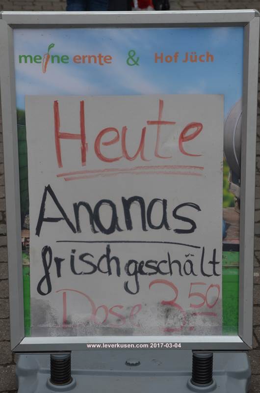 Ananas aus Steinbüchel, Klimawandel?
