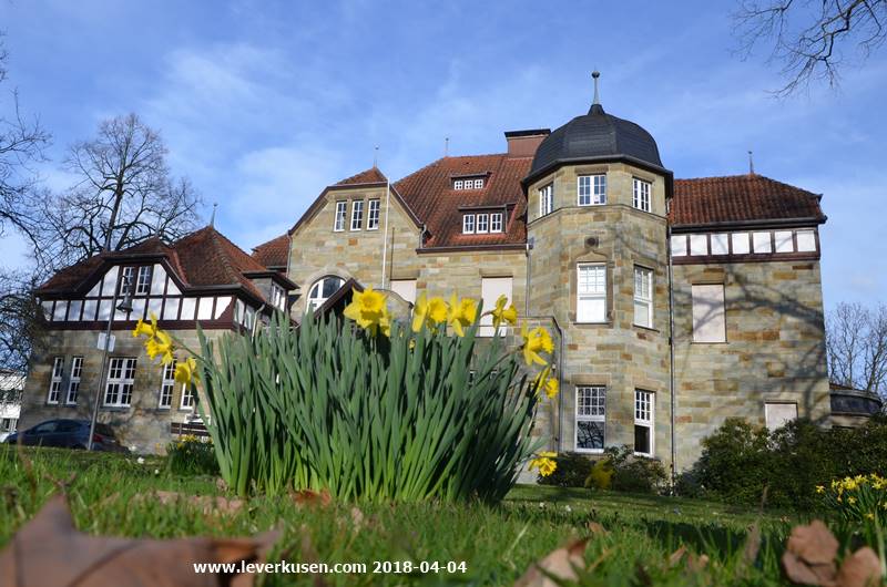 Osterglocken vor der Villa Römer