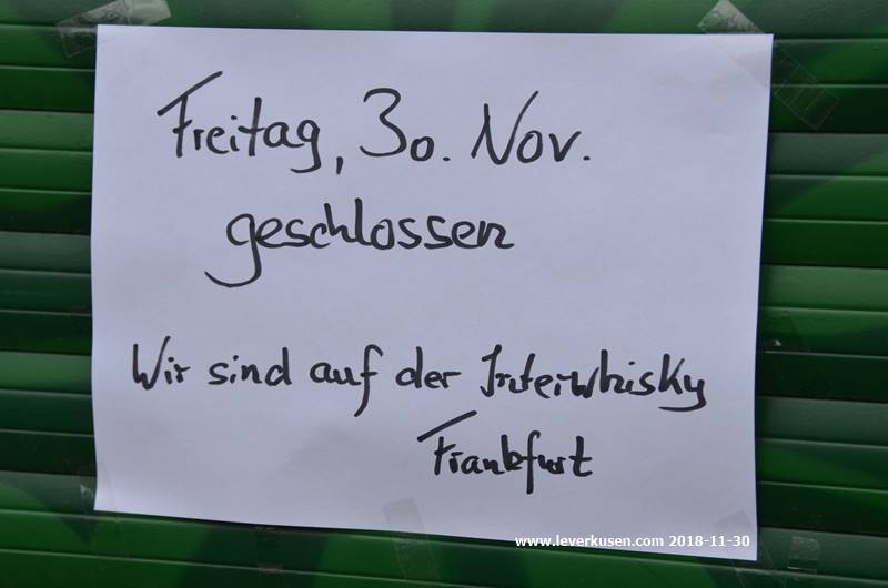 BAYER GIANTS vor erstem Finalduell: Titel in der ProB fest im Blick