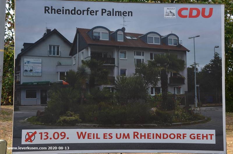 Rheindorfer Palmen