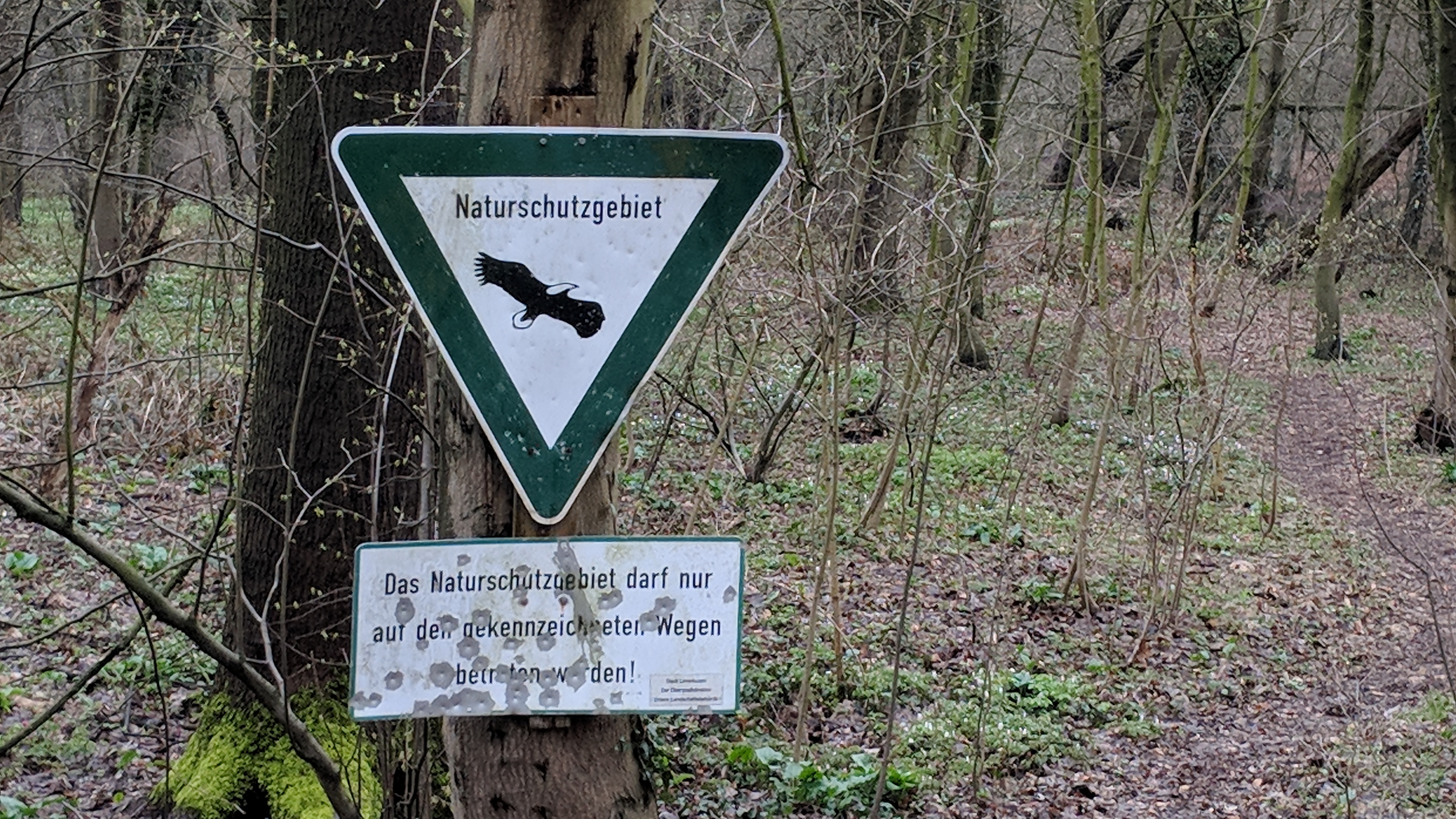 Schild Naturschutzgebiet an der Wupper in einem Waldstück.