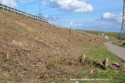 Ab Montag, 22.07.2024 voll gesperrt: A59 Richtung Leverkusen: Vollsperrung zwischen Garath und Richrath