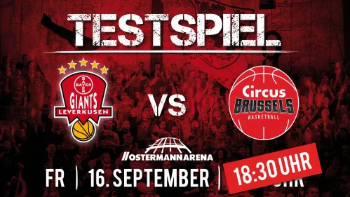 Bayer Giants: Der Saisonstart rückt näher