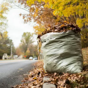 Laubsack-Abholung in Leverkusen startet in Kürze