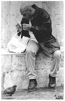 © Stephan Adams ( Futterneid )