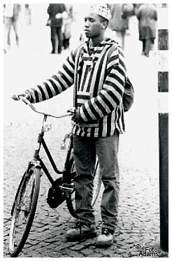 © Ute Adams ( Zebrastreifen )