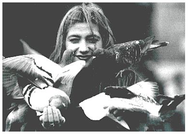 © Gerhard H. Koenig ( Vogelfrei )