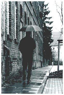 © Monika Zipzer ( Sauwetter )